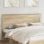 Tăblie cap cu headboard Stejar Sonoma 200 cm Lemn compozit GartenMobel Dekor
