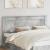 Tăblie cap cu headboard Gri din beton 200 cm Lemn compozit GartenMobel Dekor