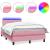 Pat cu arcuri cu saltea și LED, roz, 120x220 cm, catifea GartenMobel Dekor