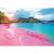 PUZZLE TREFL 1000 COLECTIA SUA PLAJA TROPICALA ROZ POSTER INCLUS SuperHeroes ToysZone