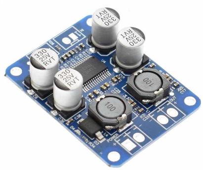 Kit amplificator Mono, Clasa D, putere 1 x 60W, TPA3118 FAVLine Selection