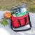 Geanta termoizolanta pentru picnic sau plaja, capacitate 16l, culoare Rosie FAVLine Selection