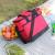 Geanta termoizolanta pentru picnic sau plaja, capacitate 16l, culoare Rosie FAVLine Selection
