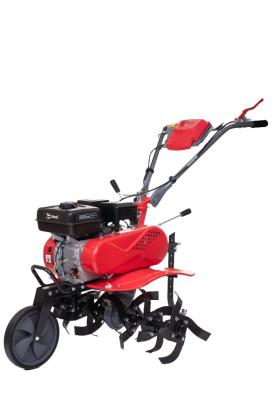 BLADE - MOTOSAPA - 800 PRO - BENZINA - 8 CP PowerTool TopQuality