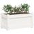 Jardiniere de grădină, 2 buc., alb, lemn masiv de pin GartenMobel Dekor