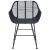 Scaun de sufragerie 2 pcs Negru 55 x 50 x 74 cm Ratan și Fier GartenMobel Dekor