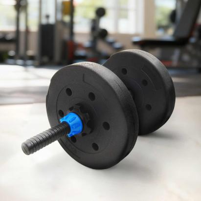 Plăci de Greutate 4 pcs Negru Ø 21.5 x 3.8 cm GartenMobel Dekor