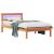 Cadru de pat Maroniu cerat 100 x 200 cm Lemn de pin masiv GartenMobel Dekor