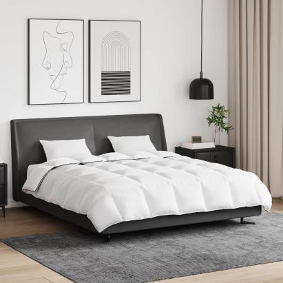 Duvet de iarnă cu pernă 3 pcs Alb Pene de rață GartenMobel Dekor