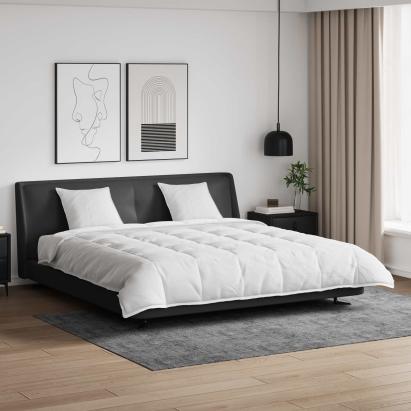 Set de Pături cu pernă 3 pcs Alb Pene de rață GartenMobel Dekor