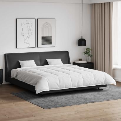 Set de Pături cu pernă 3 pcs Alb Pene de rață GartenMobel Dekor