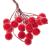 Set decorativ ramuri cu merisoare rosii artificiale inghetate, 15 cm, 200 boabe, rosu Household NewTrend