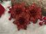Set 10 ornamente pentru bradul de Craciun, stea Poinsettia, 10cm, rosu Household NewTrend