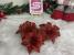 Set 10 ornamente pentru bradul de Craciun, stea Poinsettia, 10cm, rosu Household NewTrend