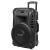 SISTEM PORTABIL SD BLUETOOTH USB 12 INCH 20W EuroGoods Quality