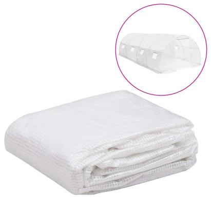 Copertină de rezervă pentru seră (18 m²), transparent, 3x6x2 m GartenMobel Dekor