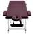Masă de masaj pliabilă, 2 zone, violet vin, aluminiu GartenMobel Dekor