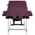 Masă de masaj pliabilă cu 3 zone, violet vin, aluminiu GartenMobel Dekor