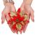 Set 10 ornamente pentru bradul de Craciun, stea Poinsettia, 14cm, rosu auriu Household NewTrend