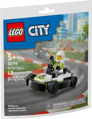 LEGO CITY CART SI PILOT 30719 SuperHeroes ToysZone