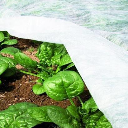 Folie microporoasa anti inghet, 17 g/mp, latime 1.6 m, lungime 10 m, reutilizabila MultiMark GlobalProd