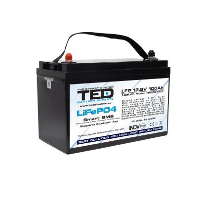 Acumulator LiFePo4, 12.8V, 100Ah, BMS, bluetooth, M8 TED Electric, TED007407 SafetyGuard Surveillance