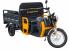 Triciclu Electric Cargo Progarden TRIVO 3000, 25km/h, 72V, 58Ah, incarcator inclus ProAdvanced PowerfulTools