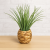 Planta decorativa Atmosphera, iarba in ghiveci impletit, 18x46 cm, maro natur Household NewTrend