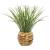 Planta decorativa Atmosphera, iarba in ghiveci impletit, 18x46 cm, maro natur Household NewTrend