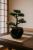 Bonsai artificial Atmosphera in ghiveci ceramic cu pietricele decorative, 36 cm, verde Household NewTrend