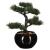 Bonsai artificial Atmosphera in ghiveci ceramic cu pietricele decorative, 36 cm, verde Household NewTrend