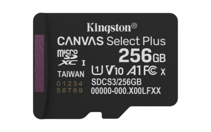 256GB micSDXC Canvas Select Plus Gen3 15 SafetyGuard Surveillance
