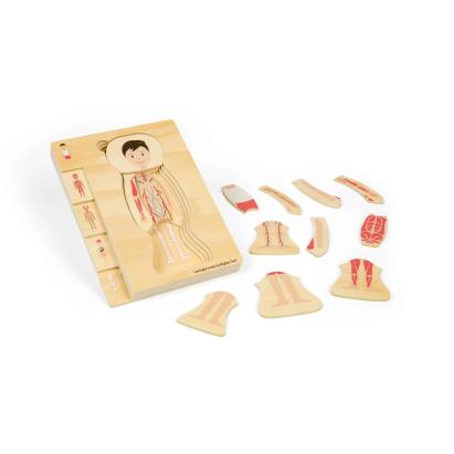 Puzzle anatomic din lemn - Baiat PlayLearn Toys