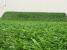 Covor Iarba Artificiala, Tip Gazon, Verde, 20 mm, 5 mp, 100×500 cm Household NewTrend