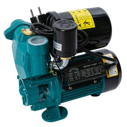 Mini hidrofor pentru presiune Micul Fermier 0.125 kW, 2000 l/h, Hmax 22 m, vas 2 L, corp din fonta