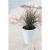 Set 2 ghivece de flori, Sand, rotunde, 38.8x43.6 cm, alb, Prosperplast GartenVIP DiyLine