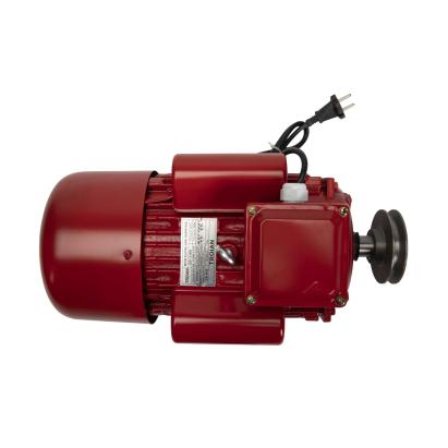 Motor electric monofazat 4 kW, 3000 rpm, carcasă din fontă – Micul Fermier