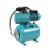 Hidrofor Detoolz 0,75 kW, 3300 l/h, înălțime pompare 45 m, butelie 24 L