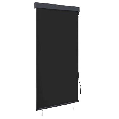 Jaluzea tip rulou de exterior, antracit, 100 x 250 cm GartenMobel Dekor