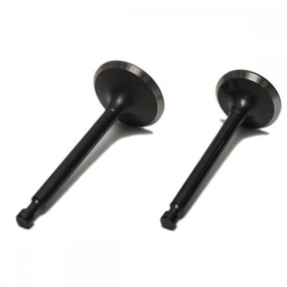 Set supape admisie si evacuare pentru motor Honda GX120, Blade