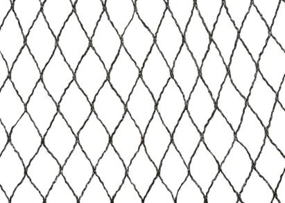 Plasă anti-păsări Strend Pro Garden 2x5 m, ochi 25 mm, din PE pentru pomi