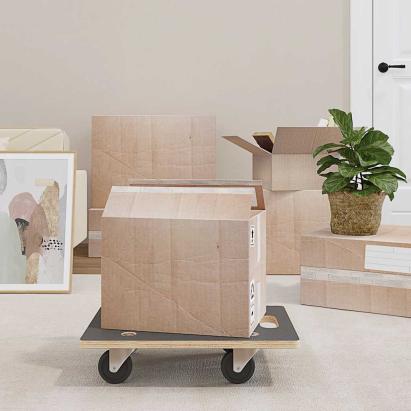 Cărucioare transport 2 buc dreptunghiulare 50x35x11,5 cm 250 kg GartenMobel Dekor