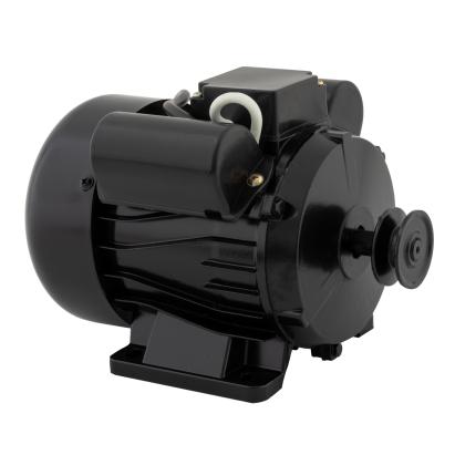Motor 1800W pentru batoză electrică Elefant, bobinaj cupru, transmisie pe curea