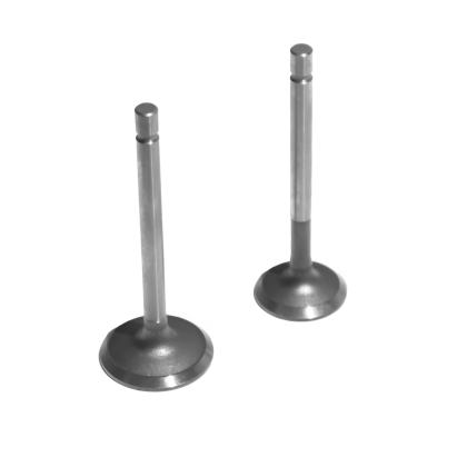 Set supape motor diesel 178F pentru motosapă și motocultor – admisie + evacuare