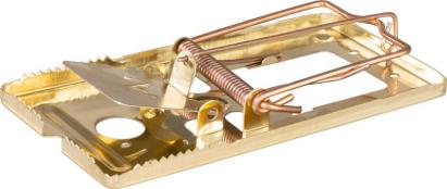 Pasca na potkany, kovová, mosadzná, 165x90 mm