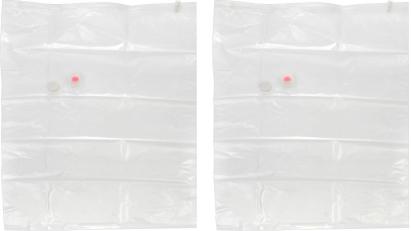Vak Vrece MagicHome, vákuové, s odsávaním 60 x 80 cm, bal 2 ks