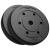 Set discuri greutăți compozit Rebel Active 2x10 kg, 31 mm, acoperire PVC
