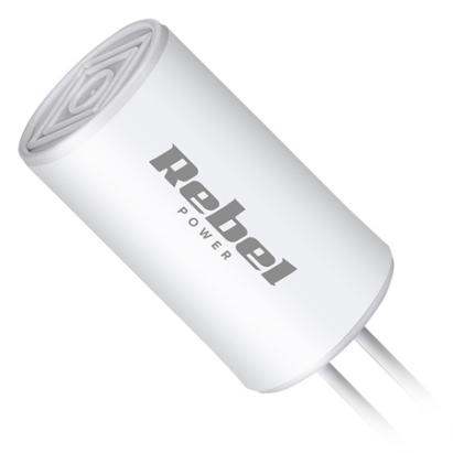 Condensator motor 25uF 450V AC cu fire pentru pompe și ventilatoare Rebel
