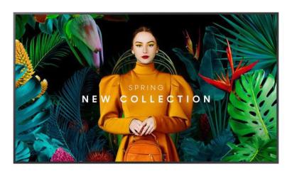 Monitor LED Samsung QH43C, Smart, 43 inch, UHD, VA, 8 ms, 60 Hz -  LH43QHCEBGCXEN SafetyGuard Surveillance