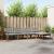 Set de canapele de exterior 5 pcs Gri natural și deschis GartenMobel Dekor